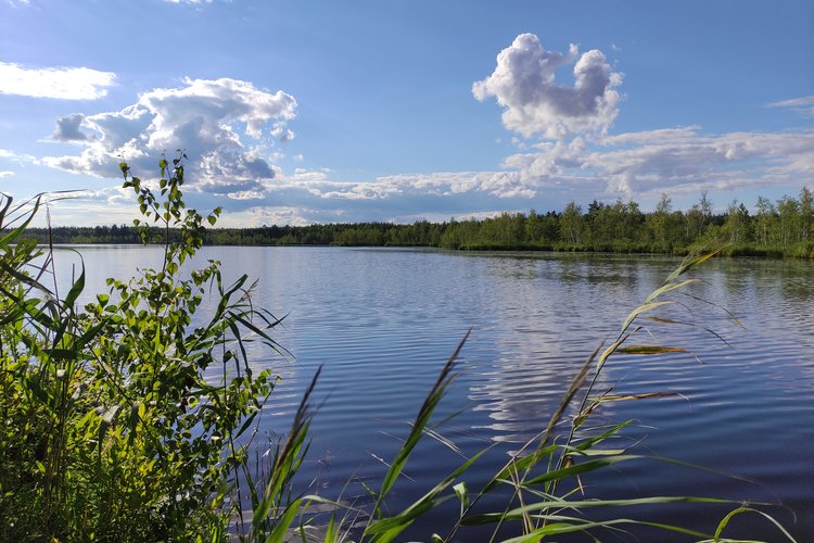 ����� ���������