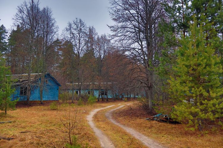 Заброшенный детский лагерь «Колосок» Заброшенный детский лагерь «Колосок»