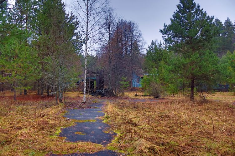 Заброшенный детский лагерь «Колосок» Заброшенный детский лагерь «Колосок»