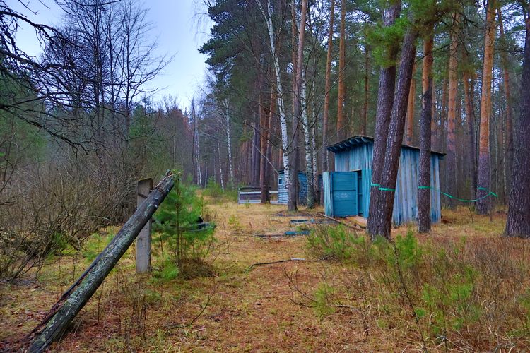 Заброшенный детский лагерь «Колосок» Заброшенный детский лагерь «Колосок»
