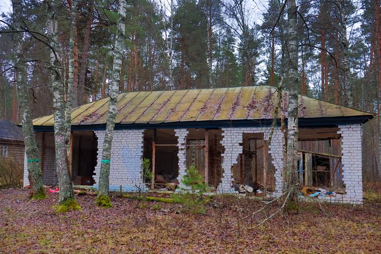 Заброшенный детский лагерь «Колосок» Заброшенный детский лагерь «Колосок»