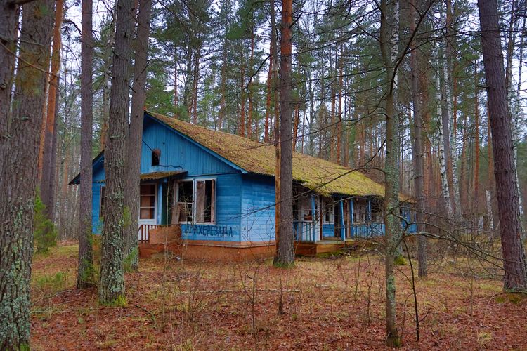 Заброшенный детский лагерь «Колосок» Заброшенный детский лагерь «Колосок»