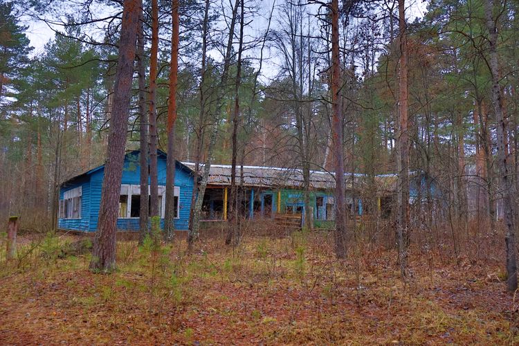 Заброшенный детский лагерь «Колосок» Заброшенный детский лагерь «Колосок»