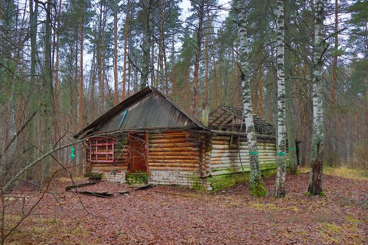 Заброшенный детский лагерь «Колосок» Заброшенный детский лагерь «Колосок»