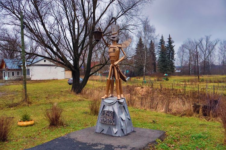 Памятник «Комару» в деревне Комарово Павловского района Памятник «Комару» в деревне Комарово Павловского района