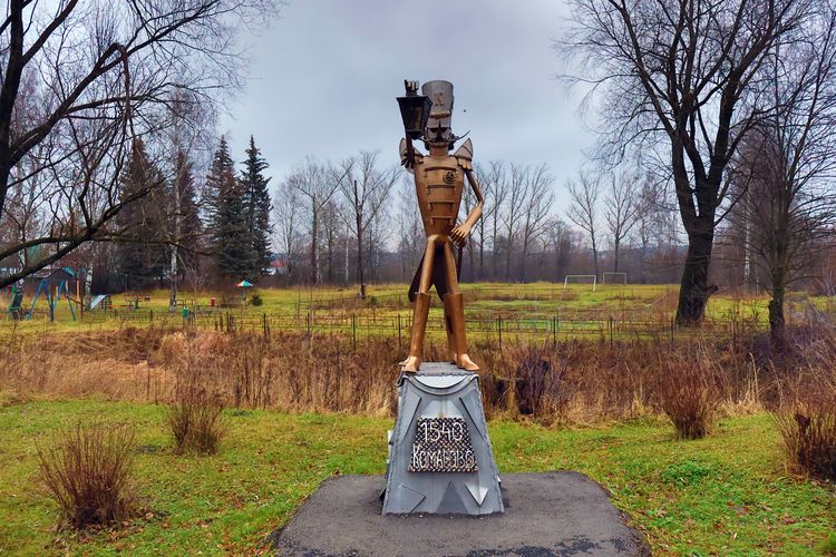 Памятник «Комару» в деревне Комарово Павловского района Памятник «Комару» в деревне Комарово Павловского района